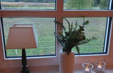 Landidylle mit Garten, Whirlpool und Klima - Foto 22