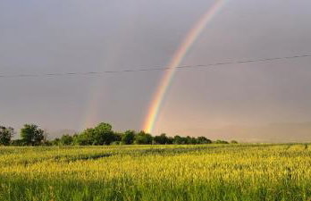 Dom Gościnny Zarembianka - Foto 56