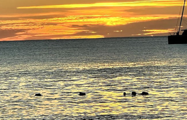 4 Guests - Stunning View - Pool - South Finger - Photo 11