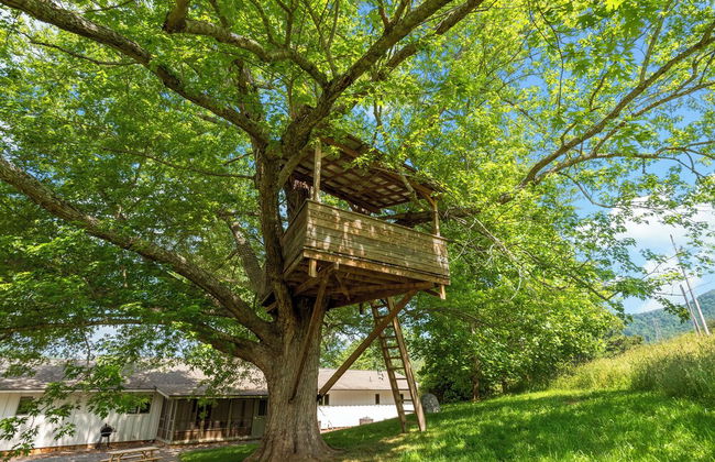 Springdale Resort - Foto 44