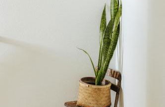 Earthy Beach House - Foto 23