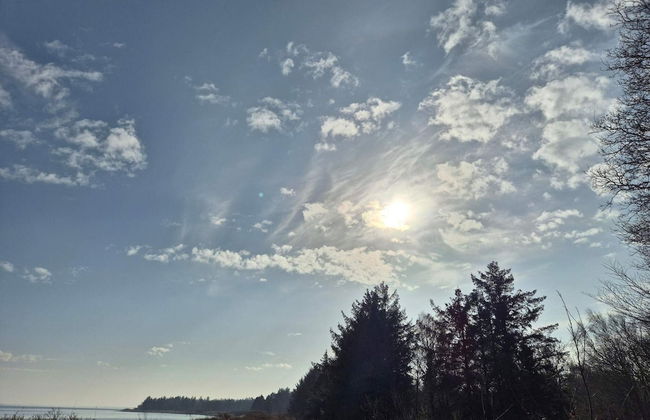 5 Person Holiday Home in Thyholm - Photo 23