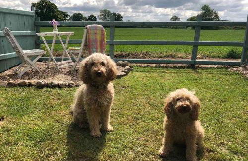 Soldiers Cottage, with HOT TUB, dog friendly, great views - Foto 78