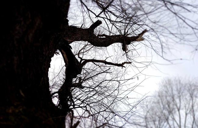 Holiday Home Paunovaca - Foto 31