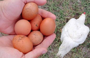 Borgo Santa Lucia - Photo 7