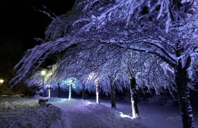 Holiday Apartment "beautiful Life" - Foto 18