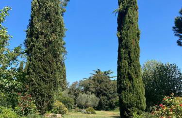 Tenuta Poggio alla Farnia - Foto 17