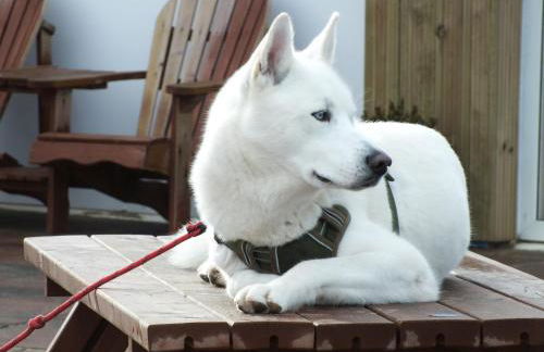 Poachers Pocket Seaview - Photo 10