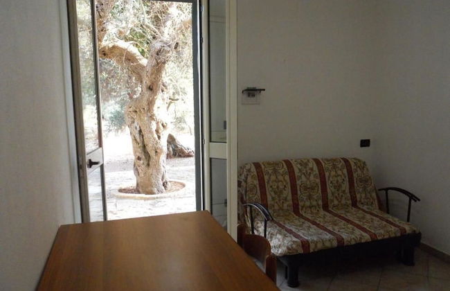 Agriturismo Specchiarussa - Foto 14