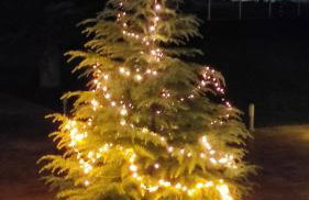 Studio Giannis, a breath away from Athens! - Foto 6