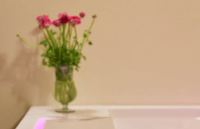 Podere di Moiata - Photo 61