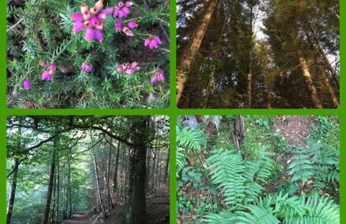 OLD CHAPEL Hayton Cumbria CA89HR - Foto 50