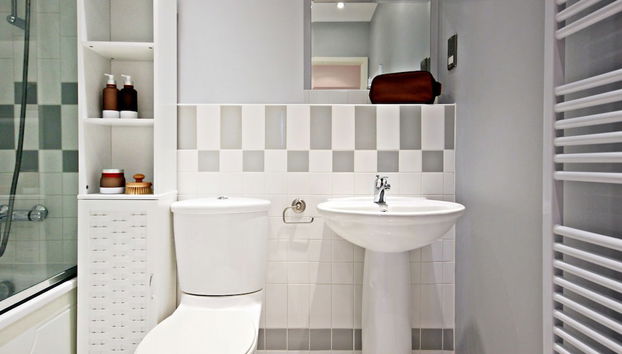 The Meridian - Foto 5, Baño