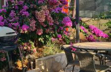 Apartments " Happy villa " - Photo 57