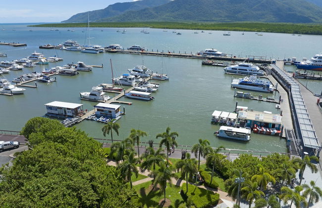 Koala Court Holiday Apartments - Photo 67