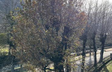 Bagnères-de-Luchon T3 - Foto 20