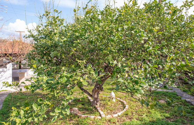 The Kokkini Beach Retreat - Foto 19