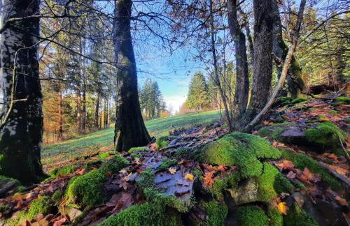 Heidi Away - Foto 20