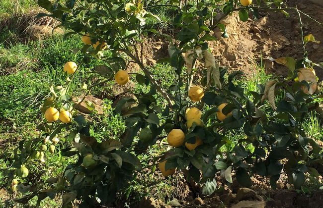 Agroturismo Itxaspe - Foto 32