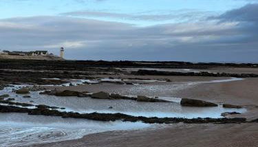 Paws A While - Foto 5