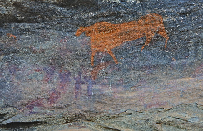 Ganora Guestfarm & Excursions - Foto 32