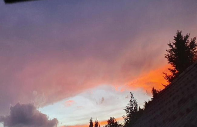 Apartment in Kleines Wiesental - Foto 40