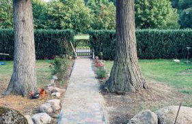 Feuerstelle8 - Foto 28