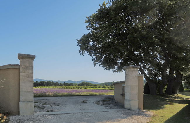 La Cardeline - Foto 11