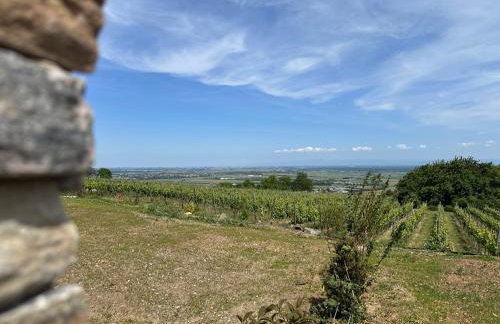 L'écrin d'Anne et Stéphane - vue sur Strasbourg - Foto 29