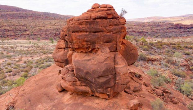 Palm Valley et Promenade en 4x4 - Excursion d'une Journée - Photo 3