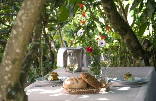 Solar Alegria - Foto 40