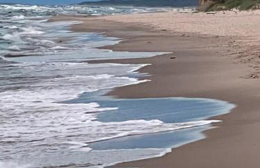 Harmony House - Photo 16