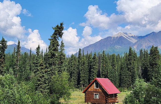 Avens Alaska - Foto 42