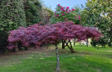 Casa de Agrelos Country House - Photo 66