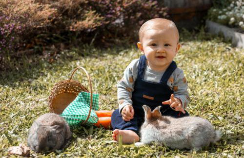 Pousada Bella Vista - no coração do Vale dos Vinhedos - Foto 56