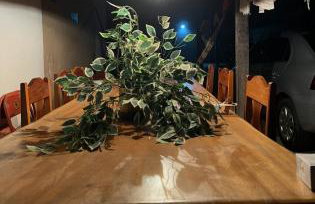 Large house with the best location in Parnaíba - Foto 17