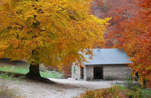 Casa Vacanze La Villa - Foto 24