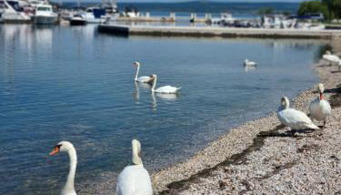 Apartments Radman - Photo 2