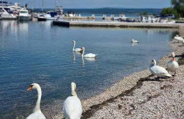 Apartments Radman - Foto 2