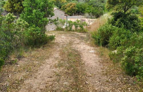 Bergerie U Caseddu - Foto 6