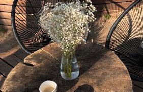 Nad Narvią - Glamp - Foto 13