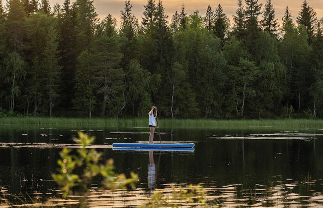 Metsä Kolo - Foto 40