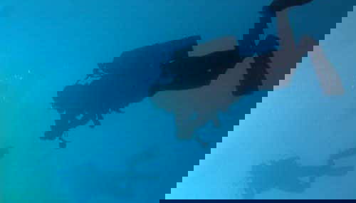 Beginner Scuba Diving - Foto 2