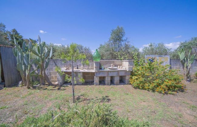 Masseria Le Palmentelle Pool And Garden - Photo 33