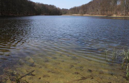 Ferienwohnung Am Weltnaturerbe Grumsin - Foto 24