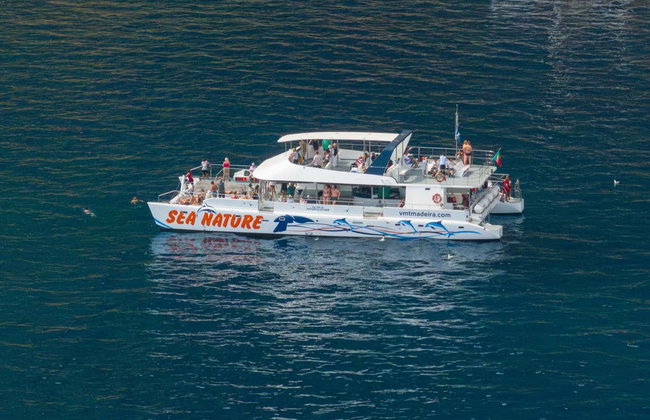 Avistamiento de delfines y ballenas en catamarán - Foto 3