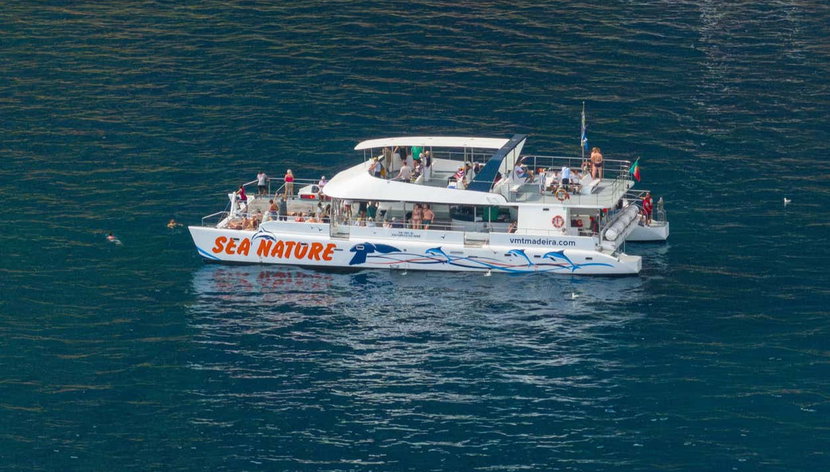 Avistamiento de delfines y ballenas en catamarán - Foto 3, El barco en el que navegaremos por Madeira