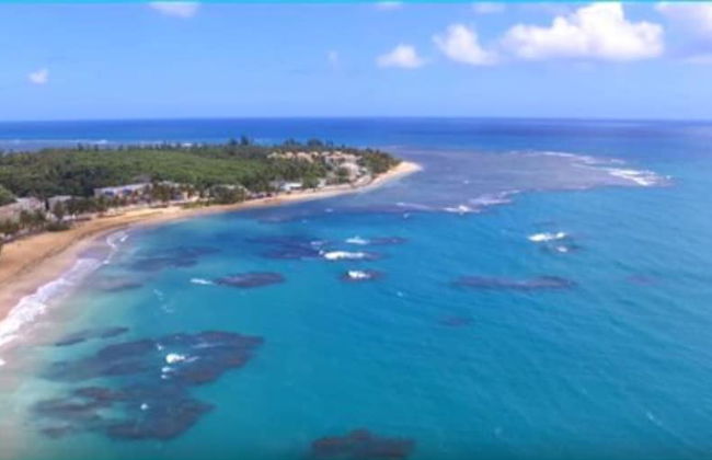 Breezy Beachfront apt. View of Paradise - Photo 17
