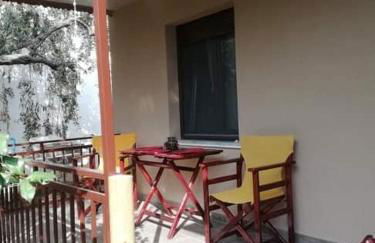 John and Tania's Garden - Photo 14