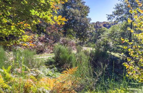 Cottage Ginestre - Foto 27